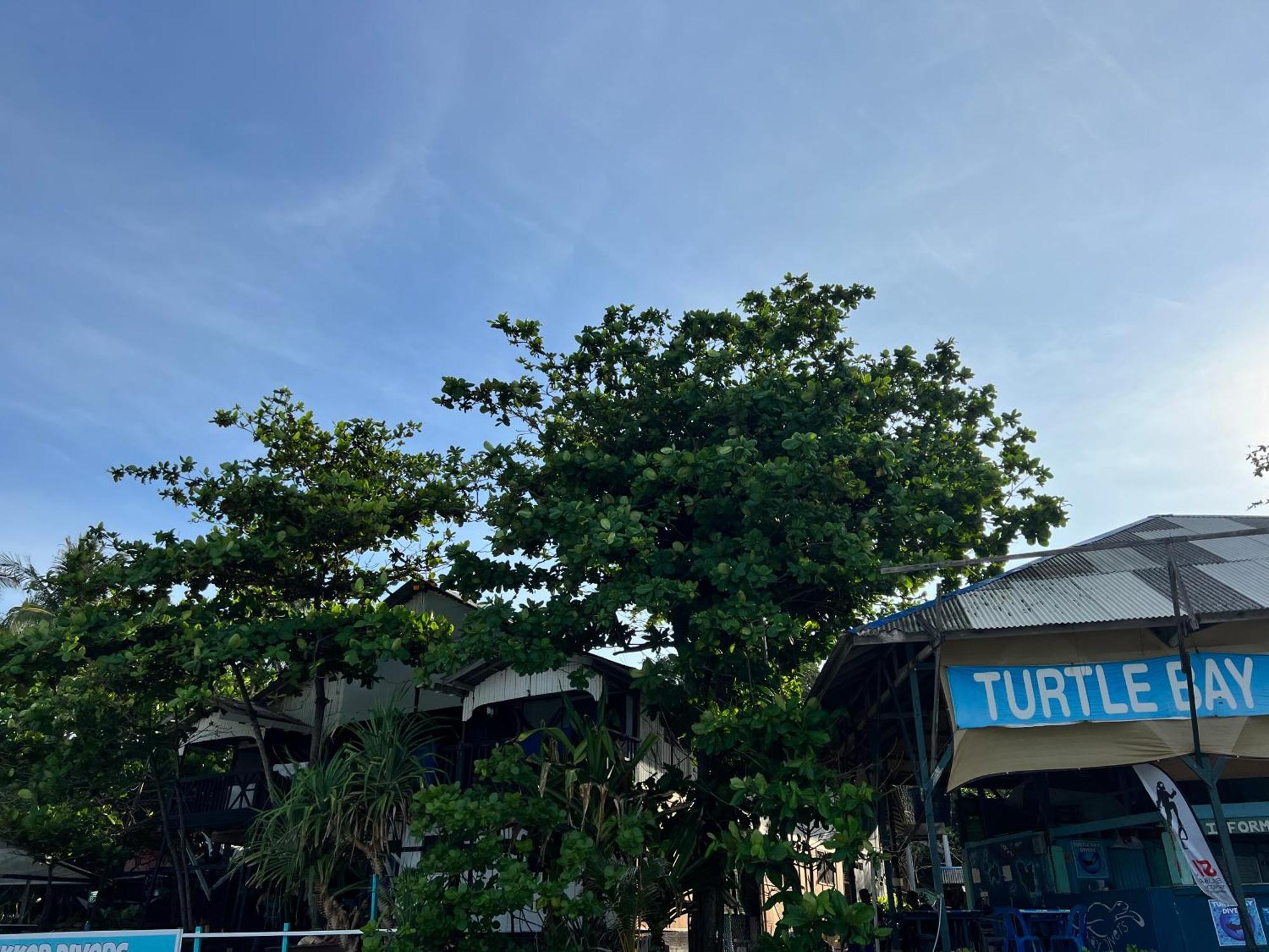 Ohlala Guesthouse بيرهينتيان المظهر الخارجي الصورة